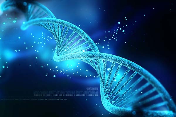 ذخیره اطلاعات دیجیتال بر روی DNA 
